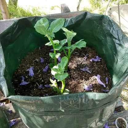 🔥Limited TimePromotion 50% OFF🌱10 Gallon Premium Potato Grow Bags