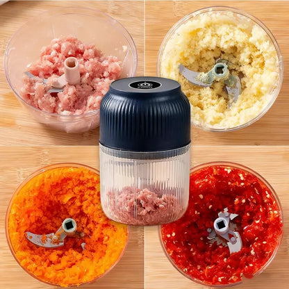 Electric Garlic Chopper,Mini Portable Veggie Chopper