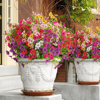 🔥Limited TimePromotion 50% OFF🌸UV Resistant Colorful Artificial Flower